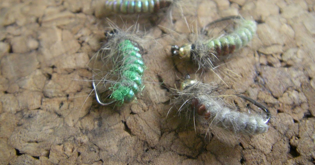 Steelhead Addiction Shark's Caddis Larva
