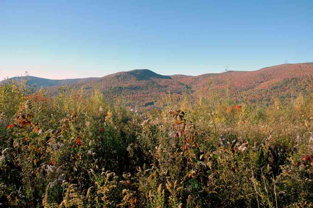 [southwest+view.jpg]