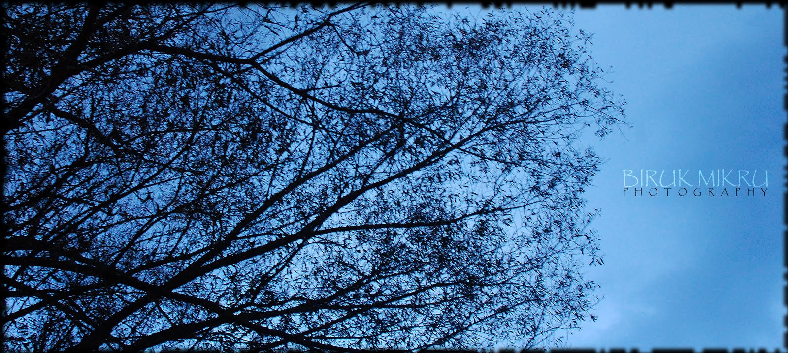 Biruk Mikru Photography