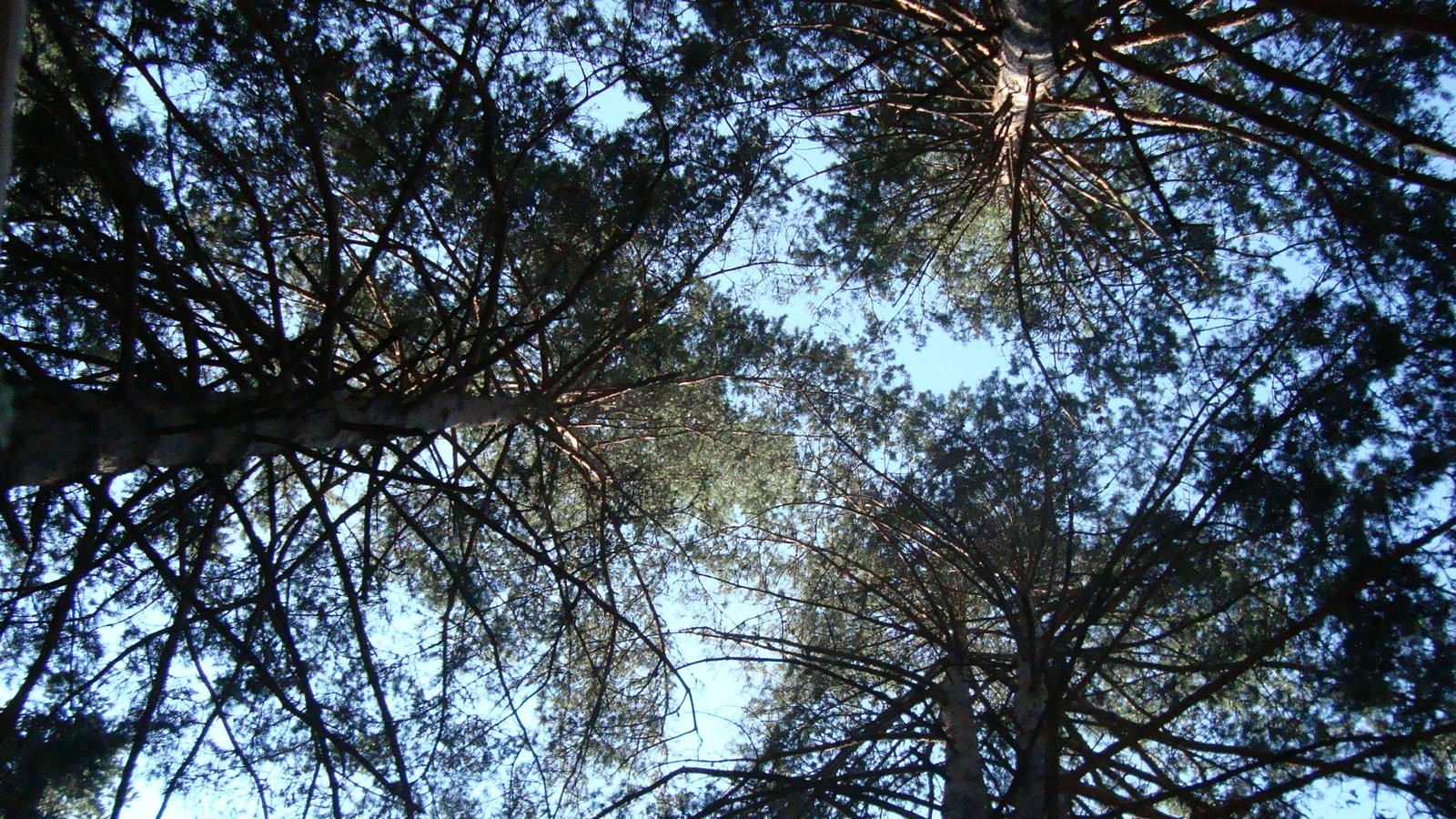 [DSC03471.JPG]