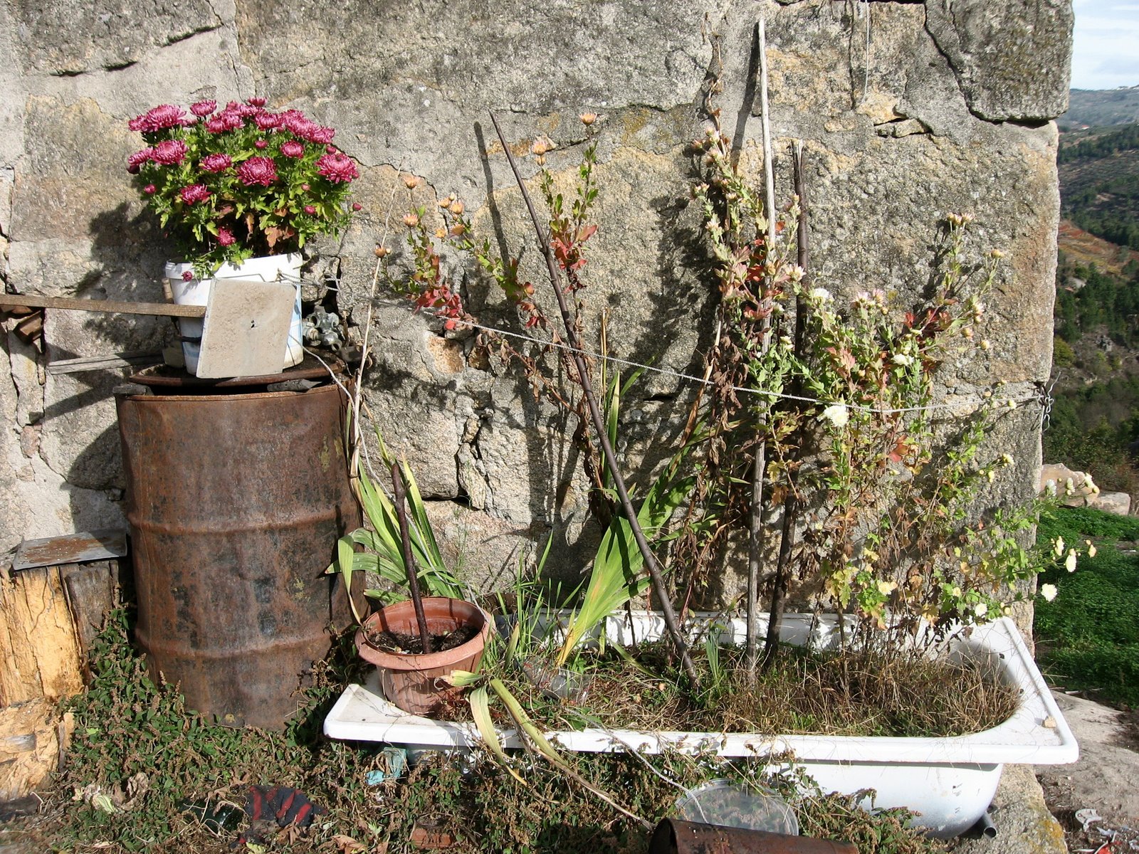 [IMG_6581.jpg]