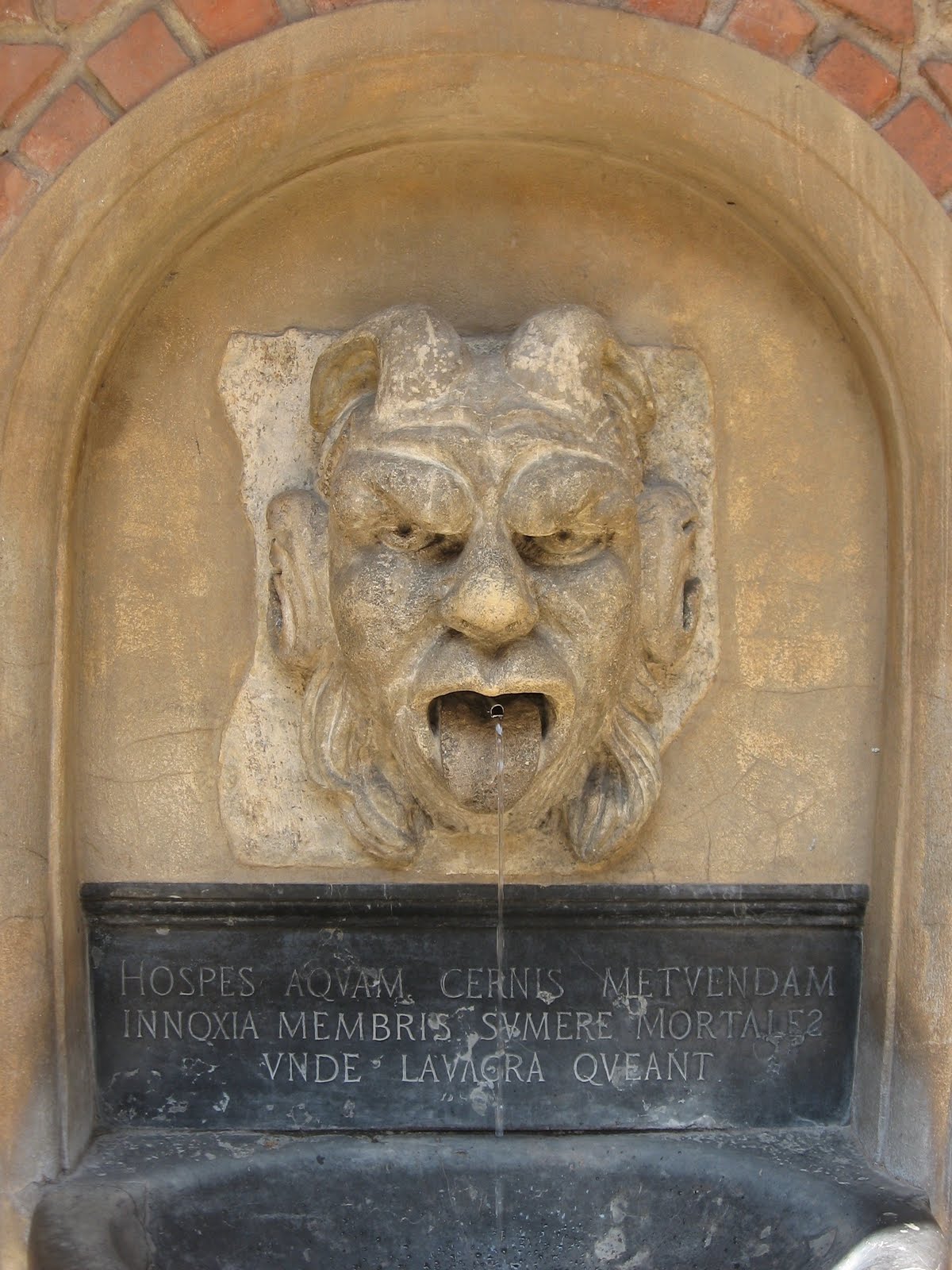 [IMG_8714.JPG]