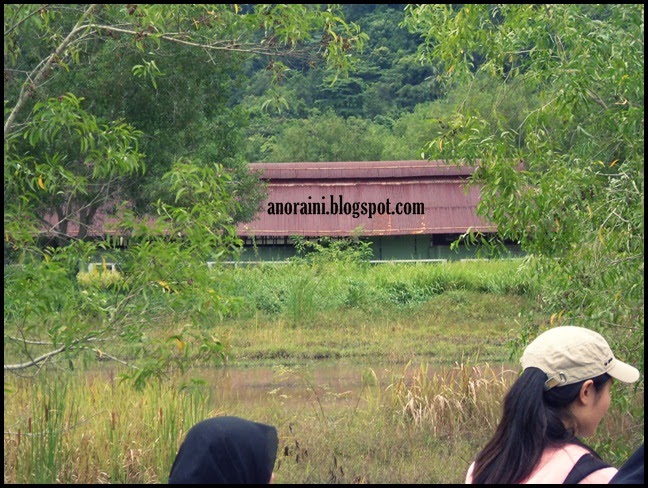 Tutup pulau jerejak Netizen Kongsi