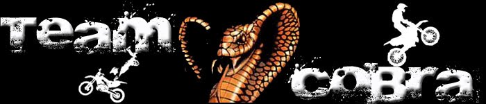 Team Cobra !