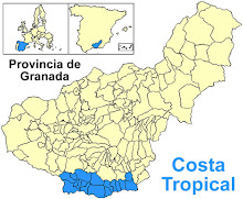 CostaTropical-np.jpg