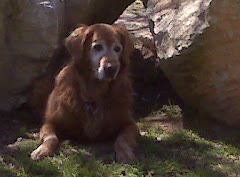 Honorary Mascot