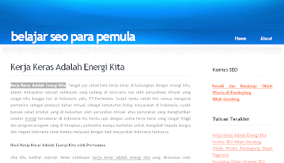 kontes seo