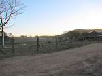 Fazenda Rozeta - São Gonçalo do Sapucaí , MG