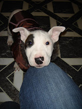 Penelope