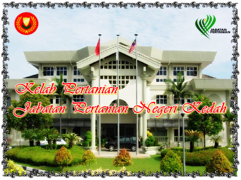 kelabpertaniankedah