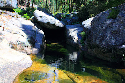pollock pines women Kids martial arts classes in pollock pines, ca most of these martial arts studios, clubs and gyms offer karate classes for kids or self defense classes for children, men and women in pollock. pollock pines women Kids martial arts classes in pollock pines, ca most of these martial arts studios, clubs and gyms offer karate classes for kids or self defense classes for children, men and women in pollock.