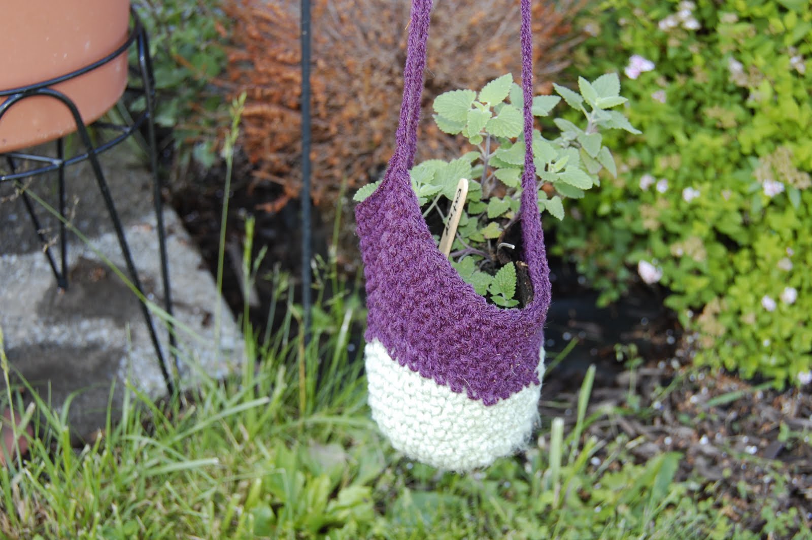 The Ditzy Druid June 2010