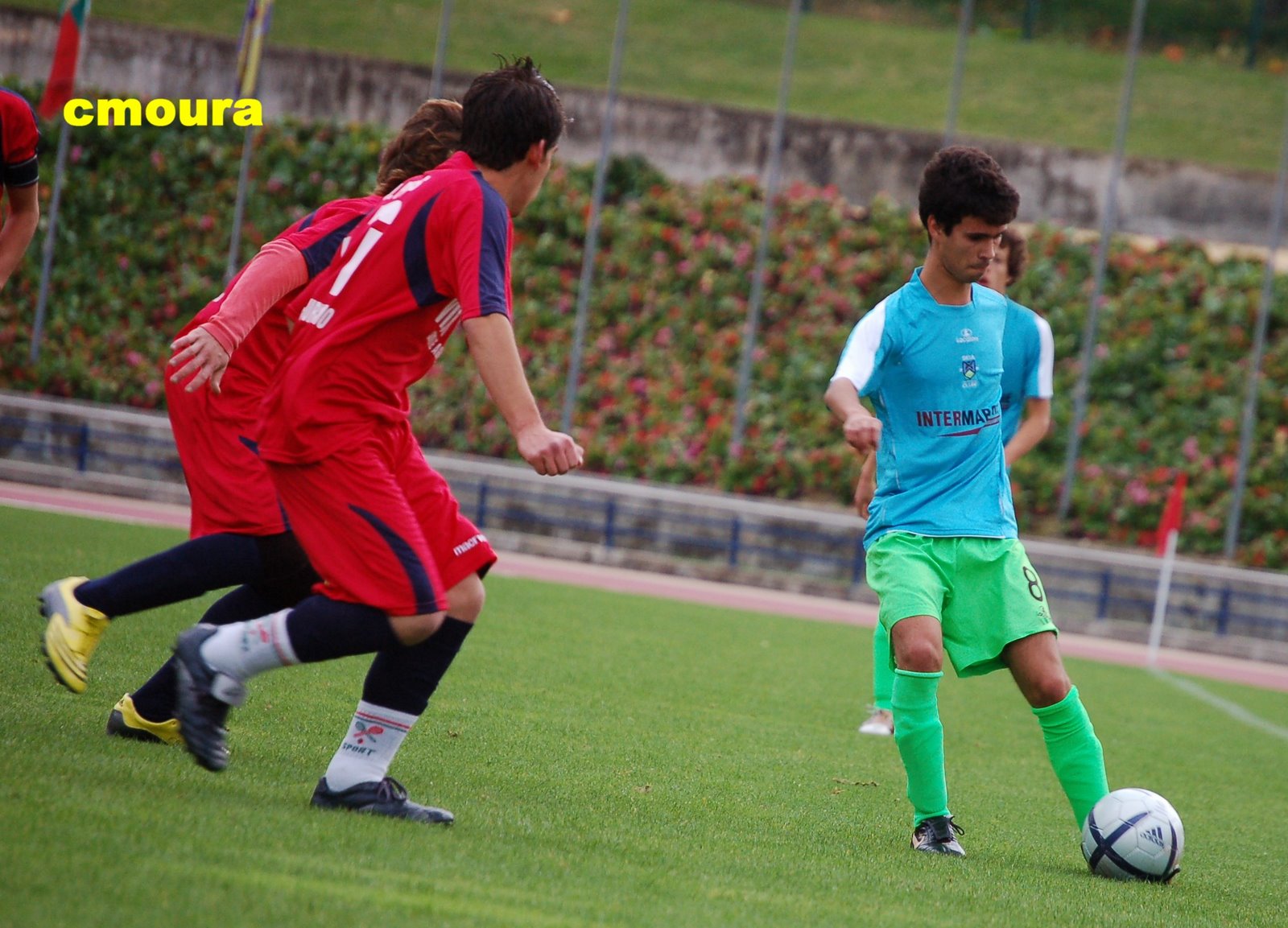 [DSC_0059.JPG]