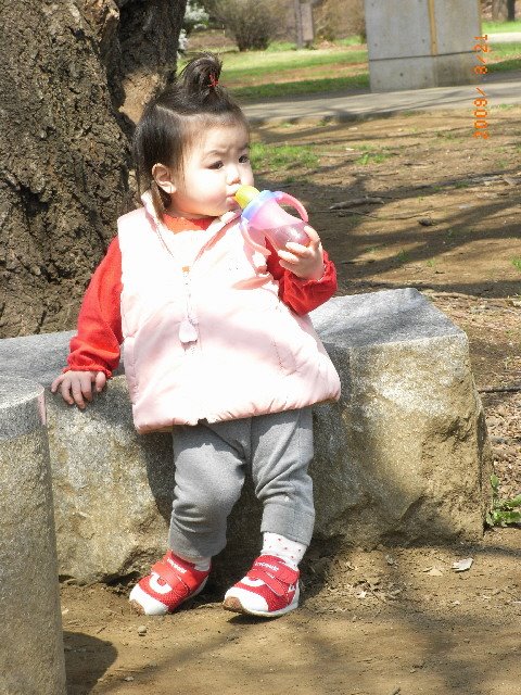 [RIMG0669_mini.JPG]
