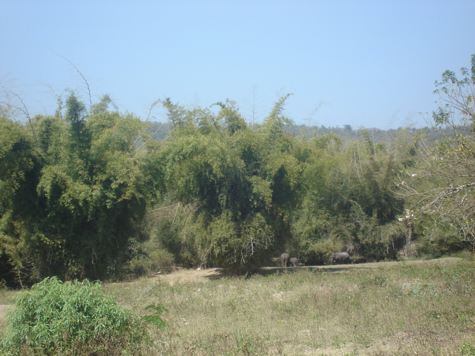 [DSC01035.JPG]
