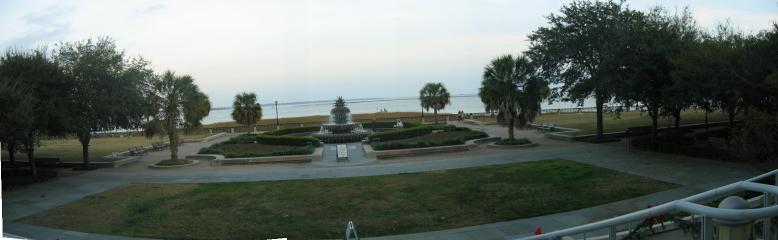 [pineapple+view+one]