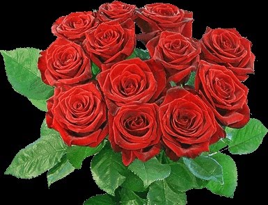 [bg_4524384-Ramo+de+Rosas.jpg]