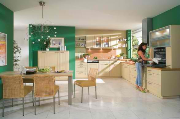 Design Stylish Contemporary Kitchens 
