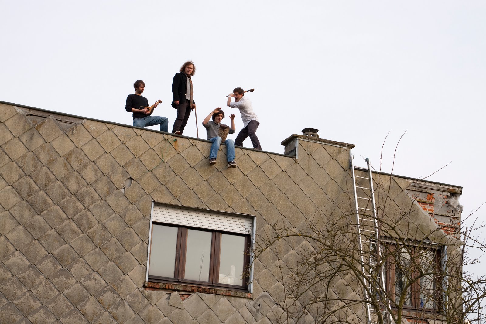 Nieberding Photography Mount Venus