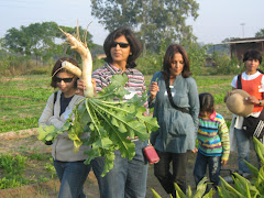 MEOW MOMENTS: Organic Farm Picnic (29th Nov'09)