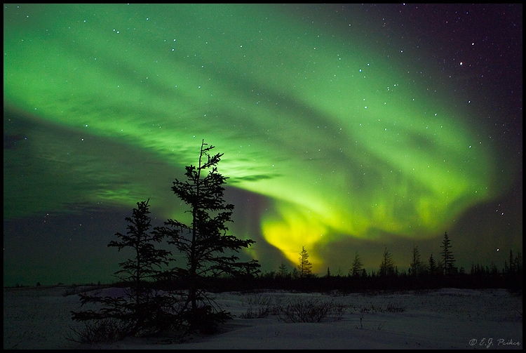 Canada Aurora
