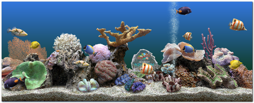where key saved marine aquarium 3