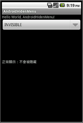 INVISIBLE INVISIBLE