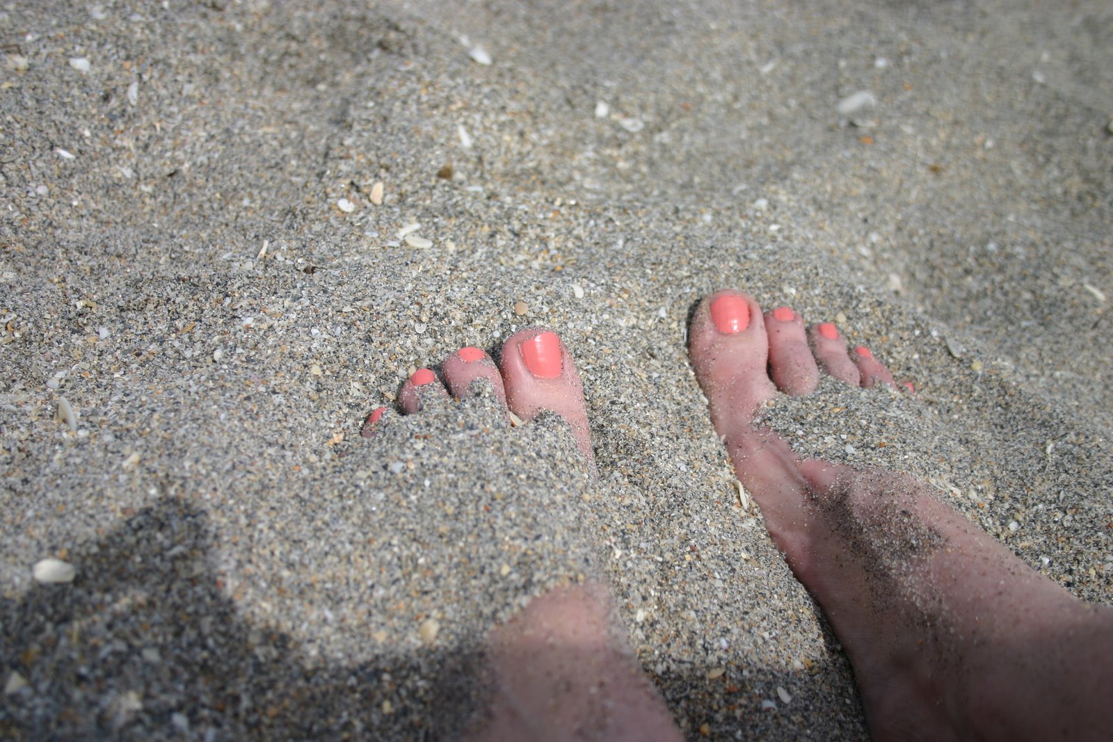 [IMG_1276.JPG]