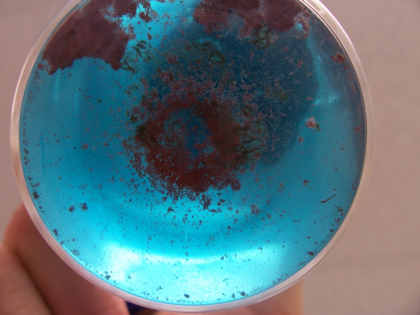 SVHS Chem29 Physical and Chemical changes during a chemical reaction