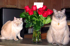 Sweeties
