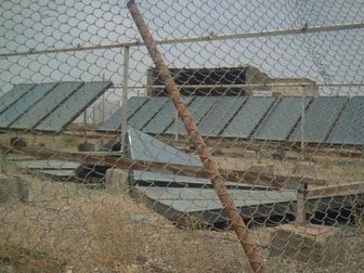 [PICT0010.JPG]
