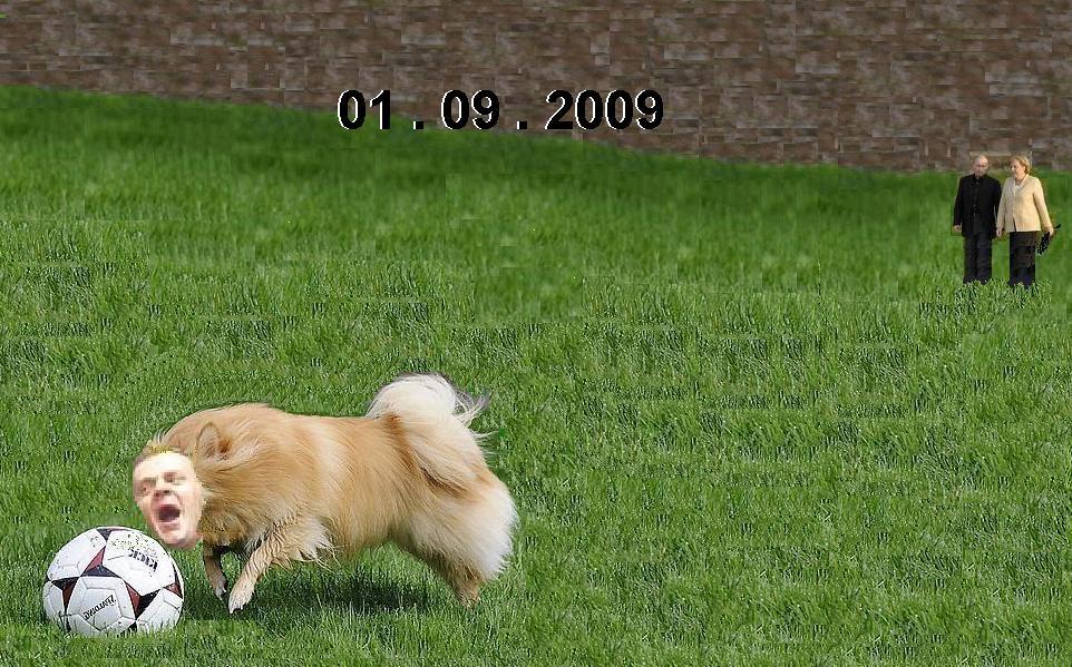 [Bez+komentarza.JPG]