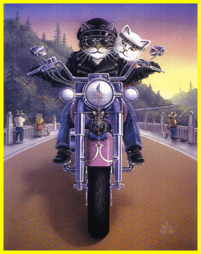 biker cat..