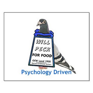 basics of operant conditioning