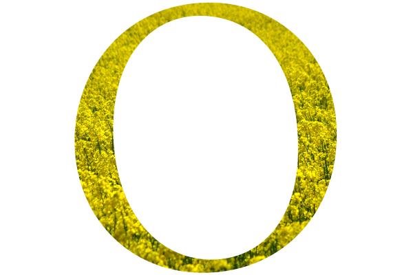 [O2.bmp]