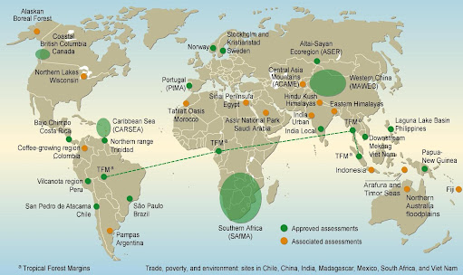 Ambiente Global