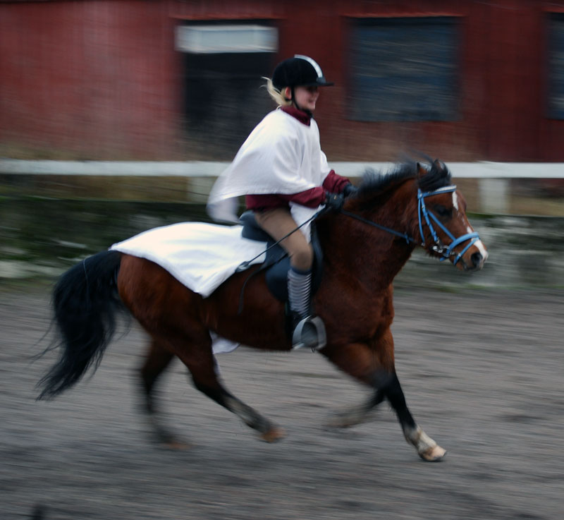 [DSC_4008_xx.jpg]