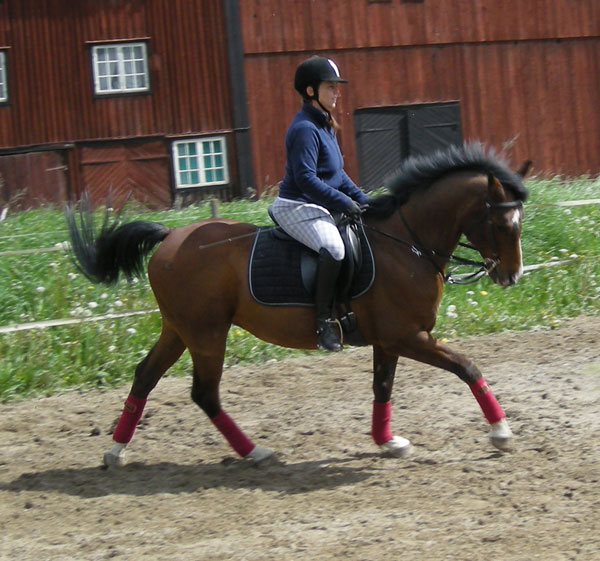 [2009_P-sud.jpg]