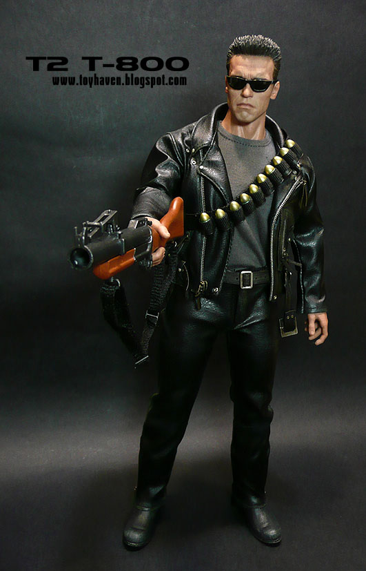 Toyhaven 1 6 T2 T 800 With M79