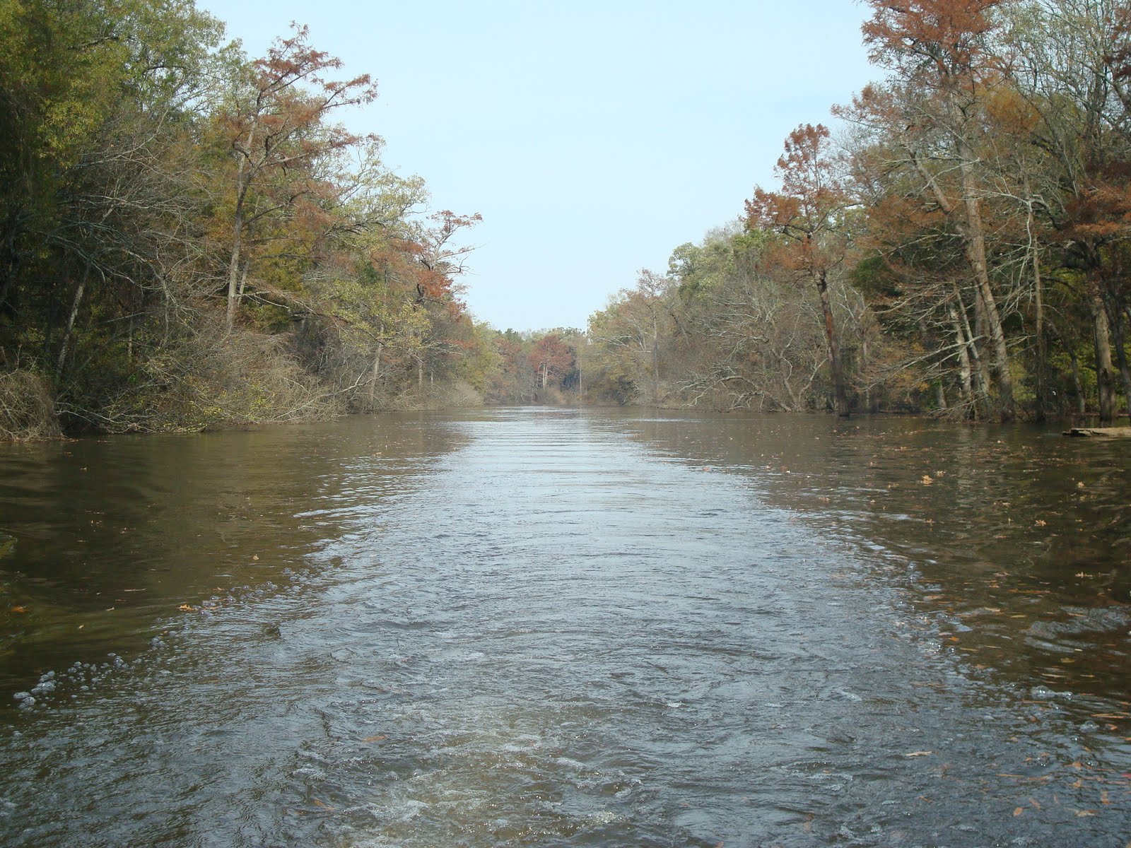 The Allen's World Bayou Meto Arkansas
