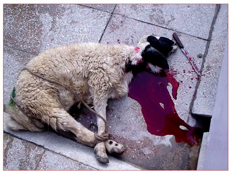 Why I DeConverted from Evangelical Christianity The