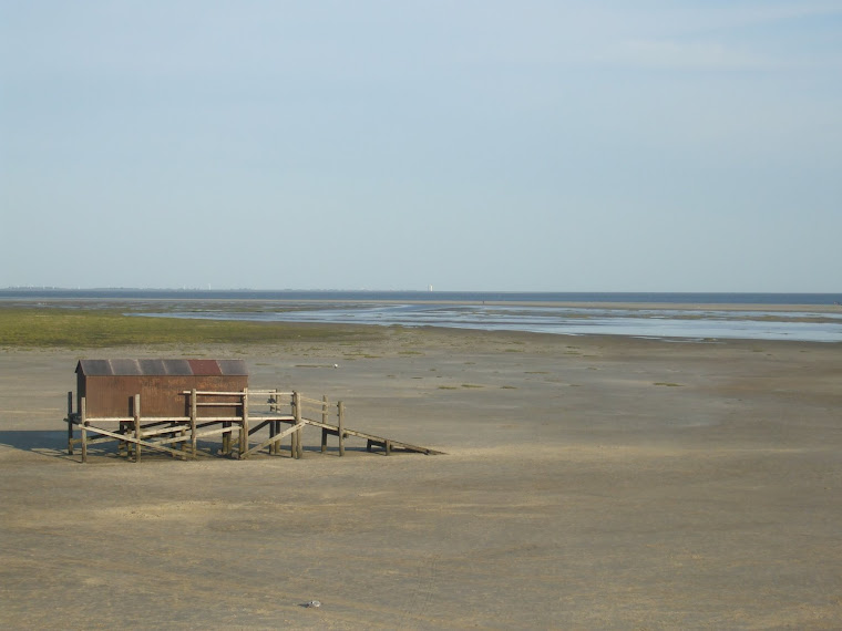 Felici, ancora insieme