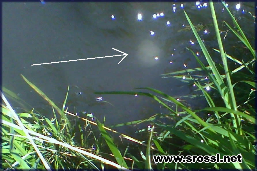 [golf20090717-3.jpg]