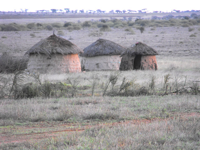 11 novembre - Boma Masai