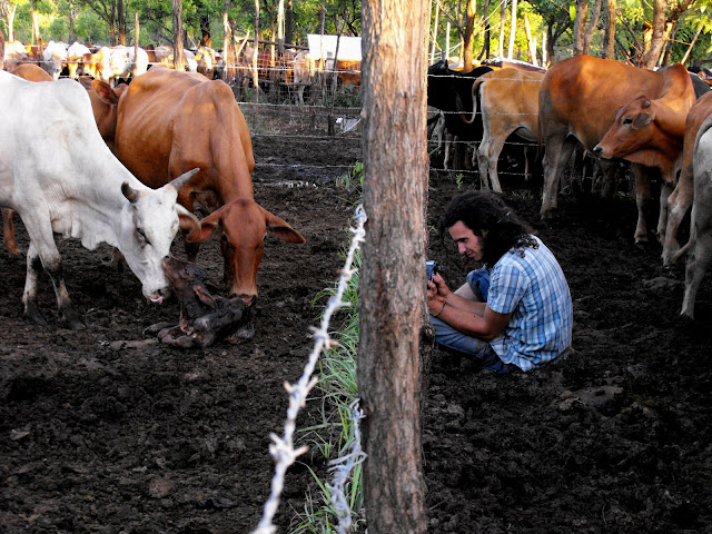 11 Decembre - La boue et la bouze... meme pas peur!