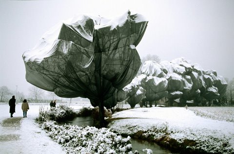 [wrapped+trees,+christo+&+jeanne-claude.jpg]