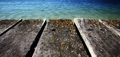 legno