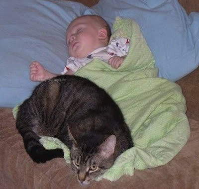 Ребятки и зверятки Cat_and_baby6