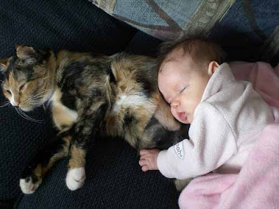 Ребятки и зверятки Cat_and_baby2