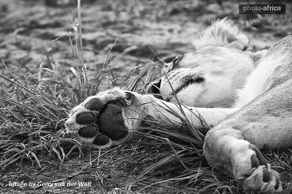 In my opinion a lack amp; white Black And White Landscape Photography. In my opinion a lack amp; white